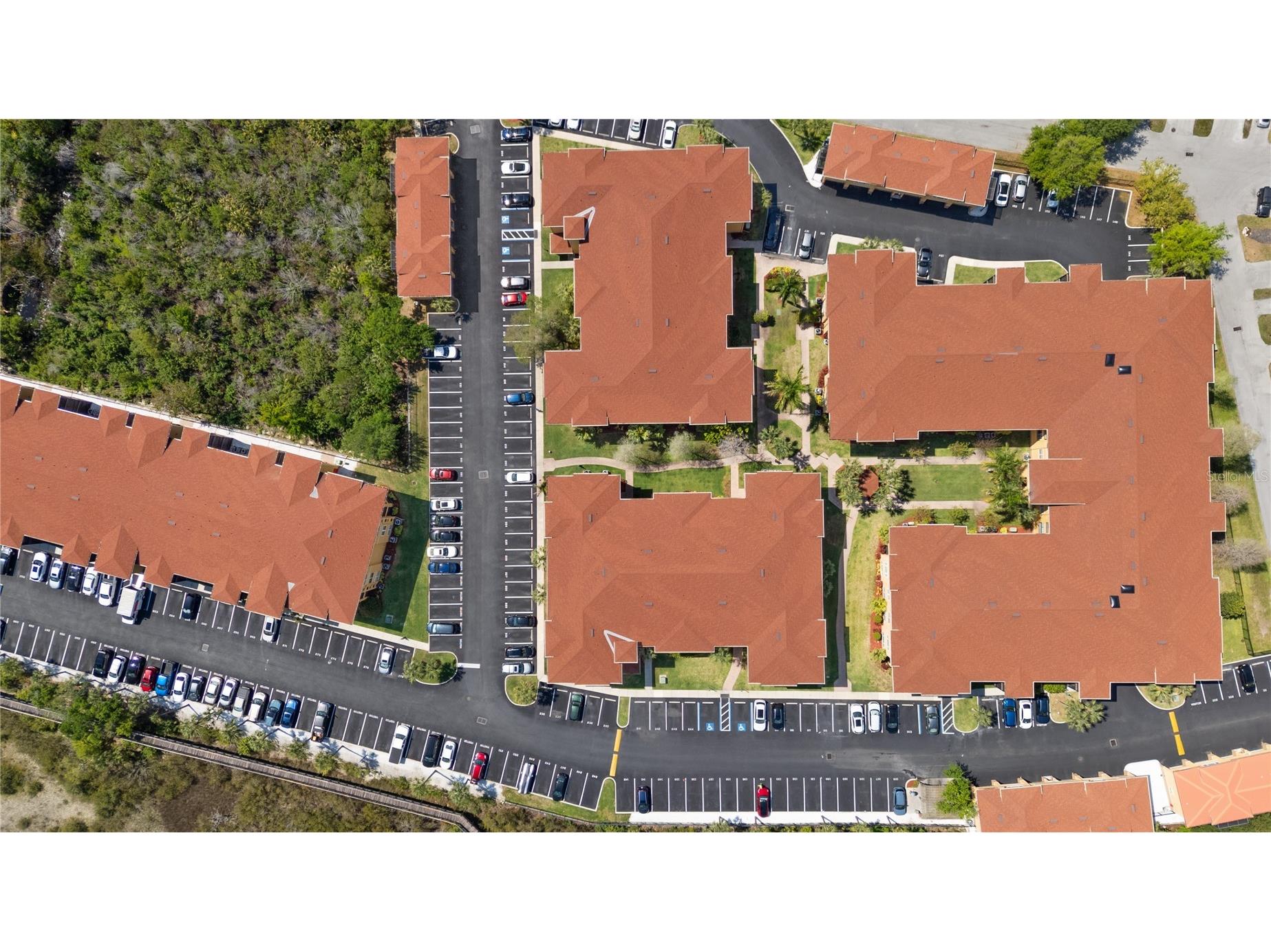 4307 Bayside Village Drive #103 Tampa FL 33615 O6410615 image25