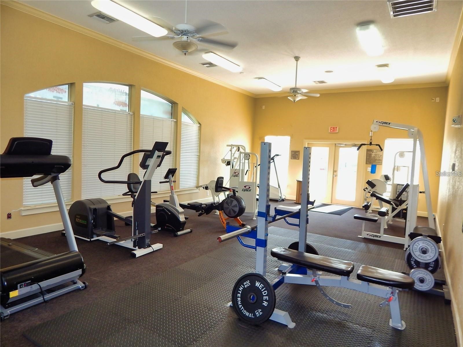 4307 Bayside Village Drive #103 Tampa FL 33615 O6410615 image30