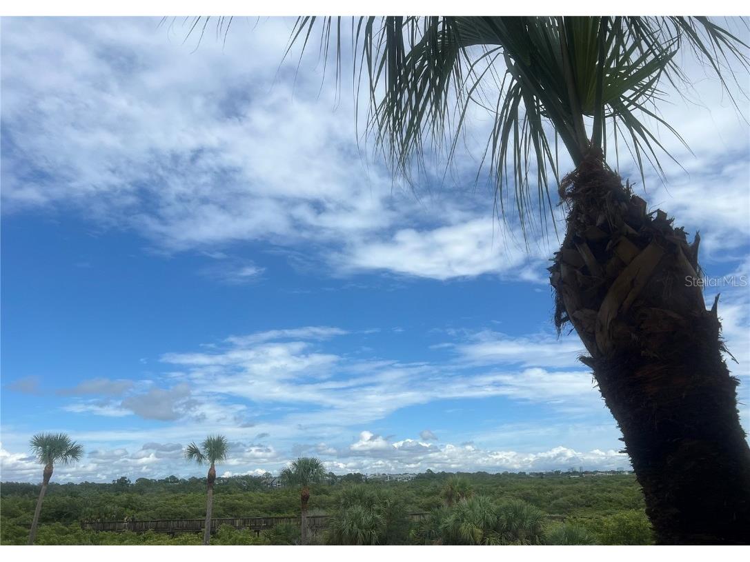 4307 Bayside Village Drive #201 Tampa FL 33615 TB8427013 image33