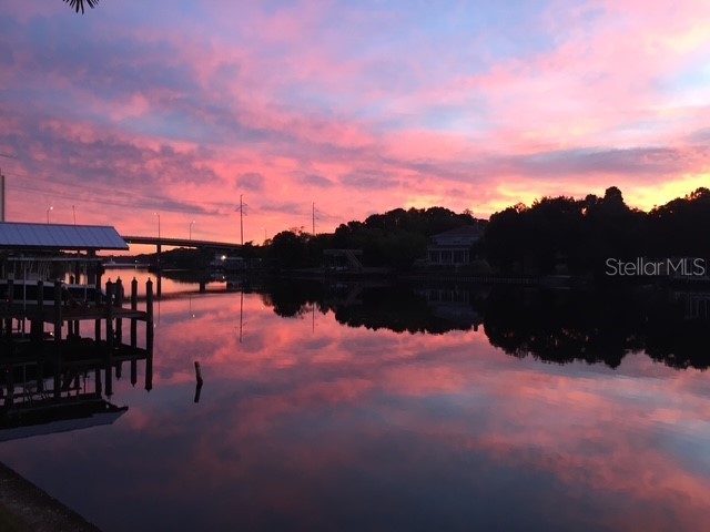 4307 N River View Lot A Avenue Tampa FL 33607 - HILLSBOROUGH RIVER TB8364455 image1