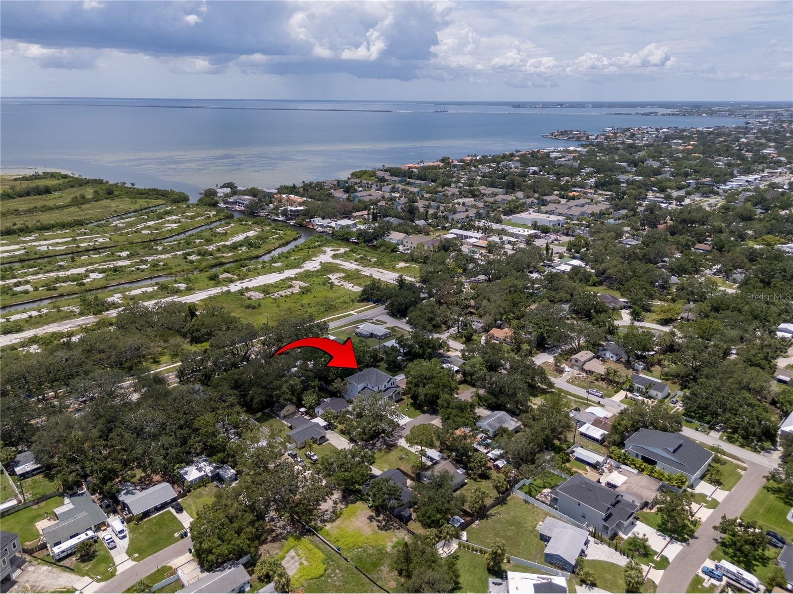 4307 Renellie Drive S Tampa FL 33611 TB8375809 image54