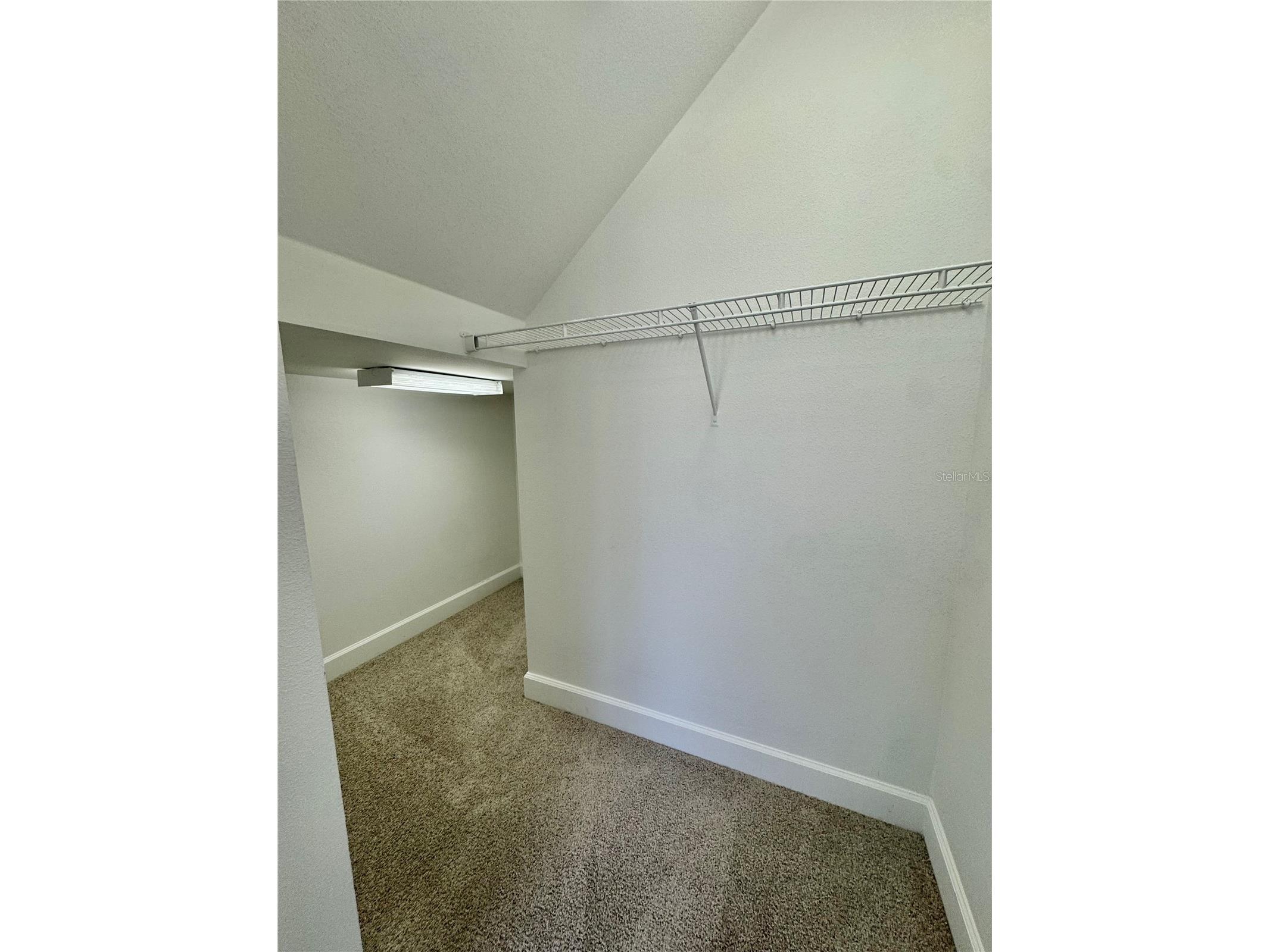 4307 Rustic Pine Place Wesley Chapel FL 33544 L4959344 image25