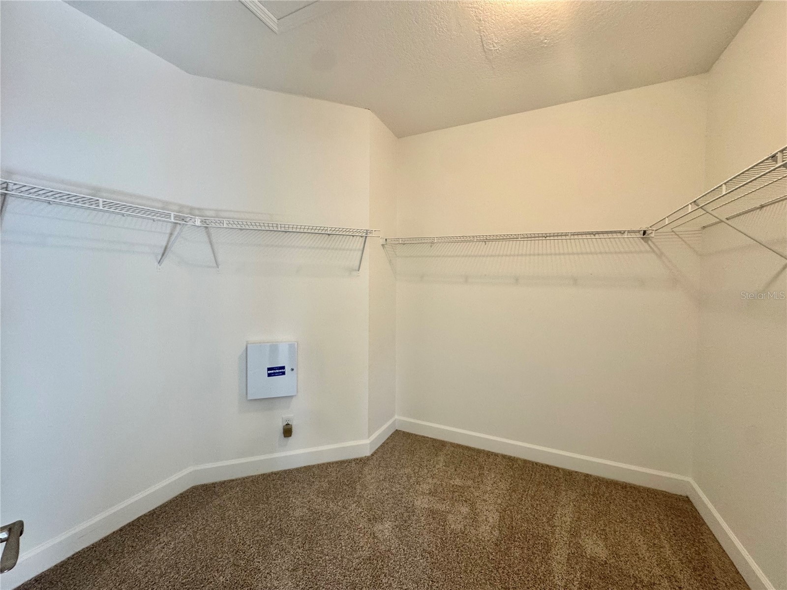 4307 Rustic Pine Place Wesley Chapel FL 33544 L4959344 image30