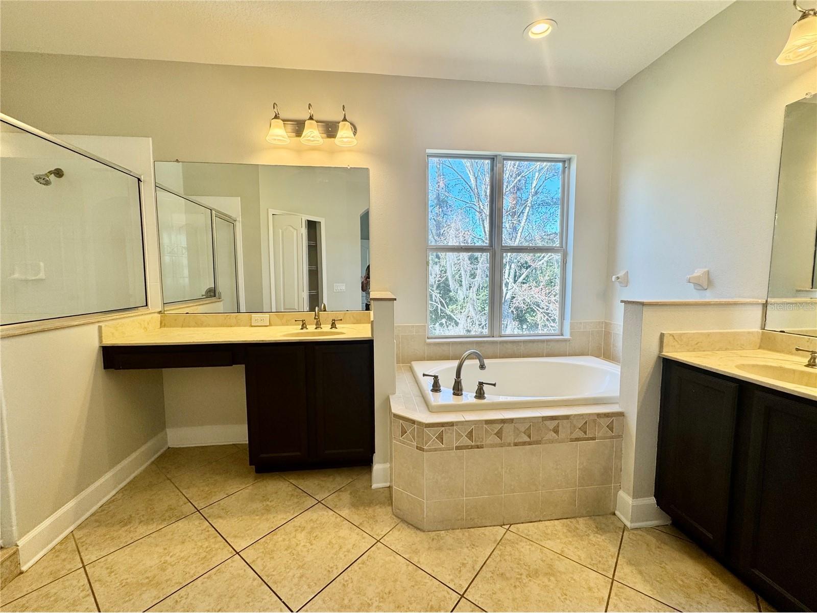 4307 Rustic Pine Place Wesley Chapel FL 33544 L4959344 image31