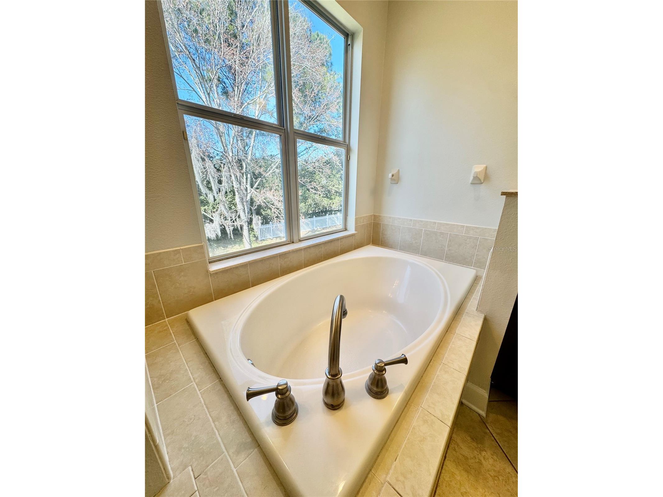 4307 Rustic Pine Place Wesley Chapel FL 33544 L4959344 image33