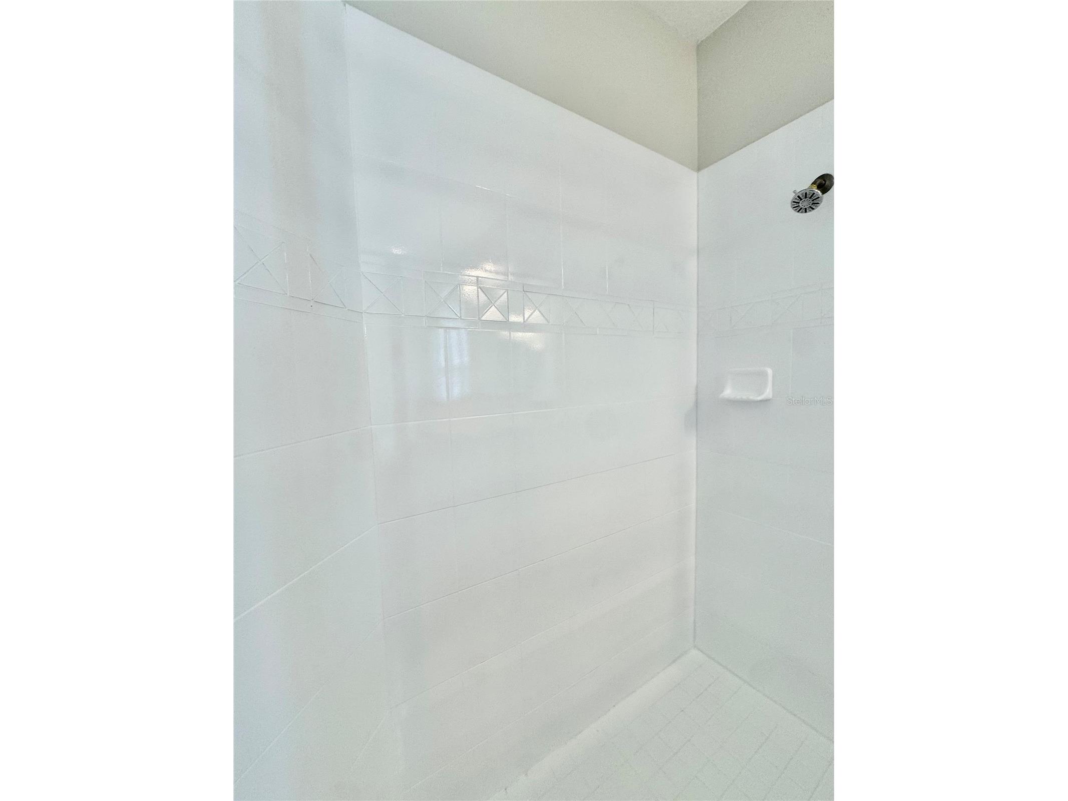 4307 Rustic Pine Place Wesley Chapel FL 33544 L4959344 image35