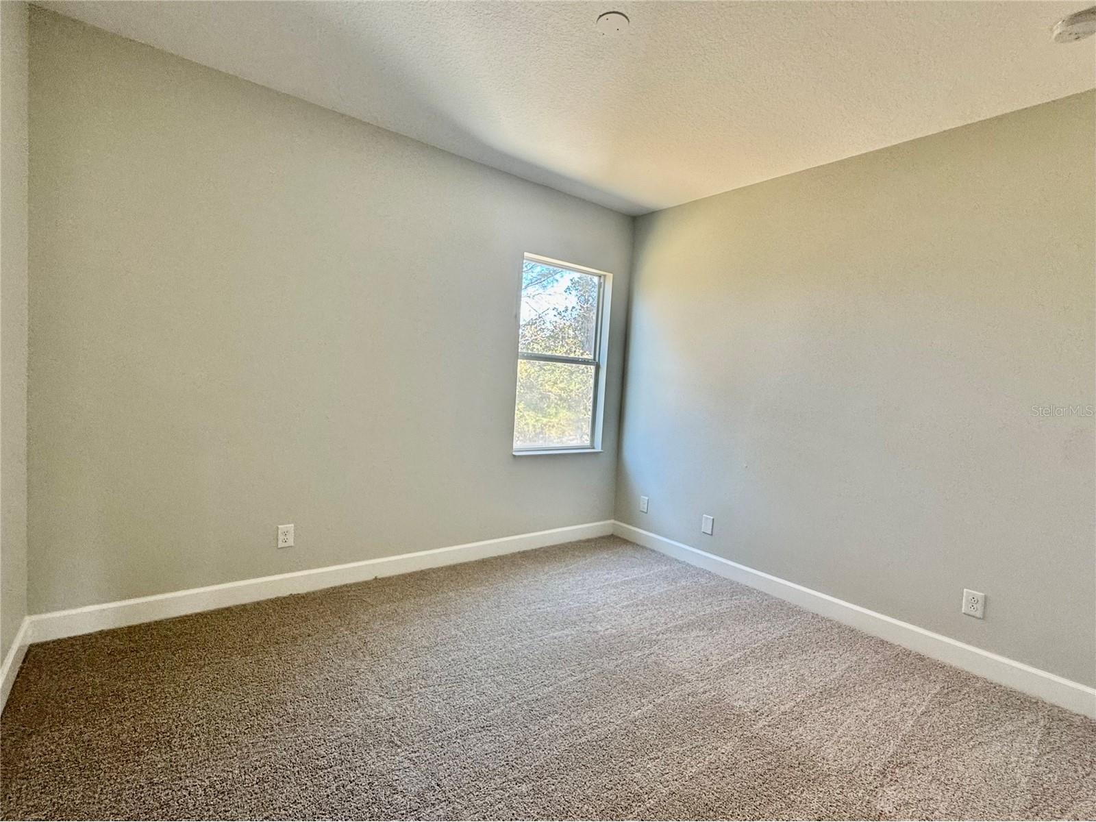 4307 Rustic Pine Place Wesley Chapel FL 33544 L4959344 image37