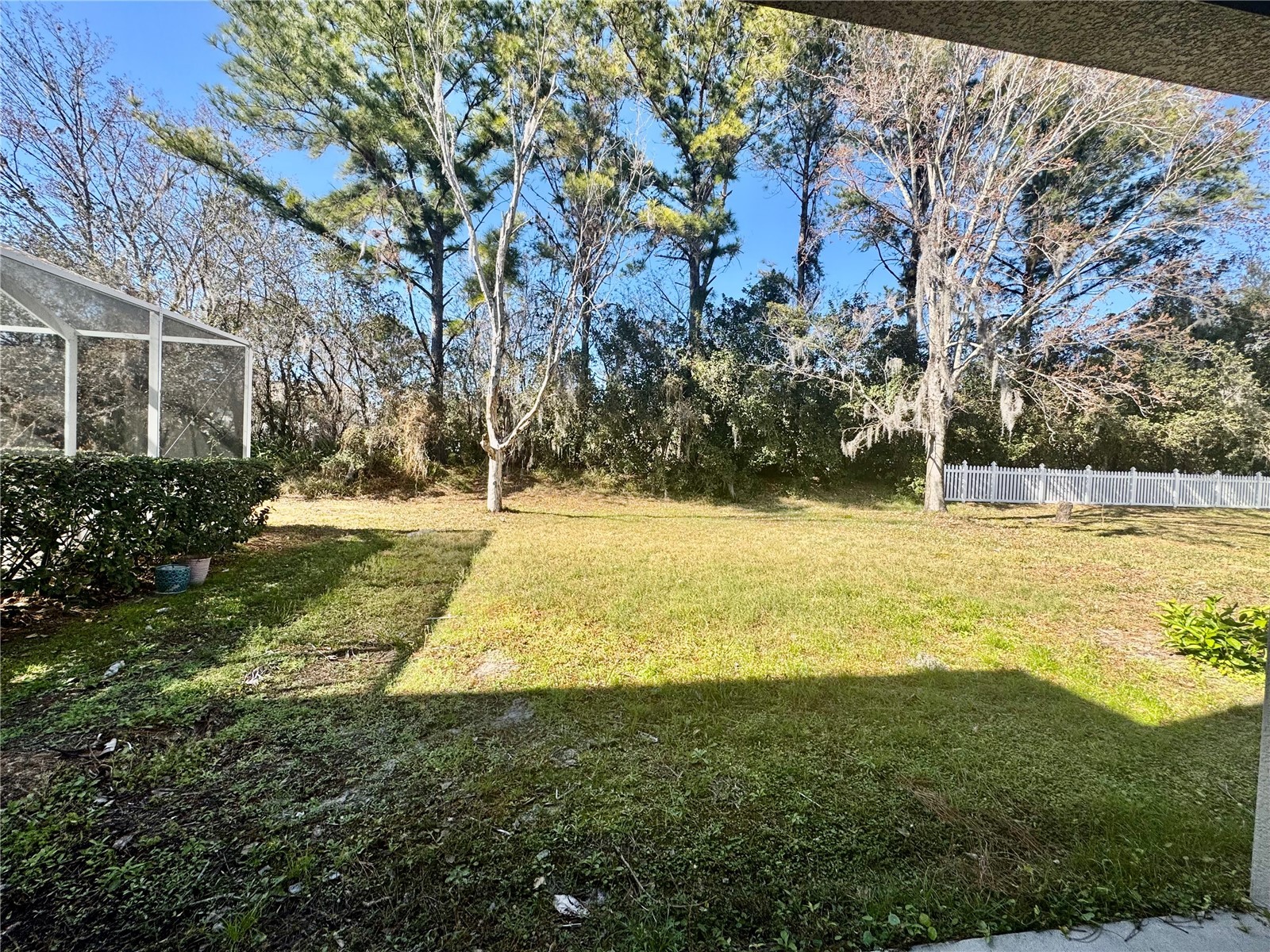 4307 Rustic Pine Place Wesley Chapel FL 33544 L4959344 image53