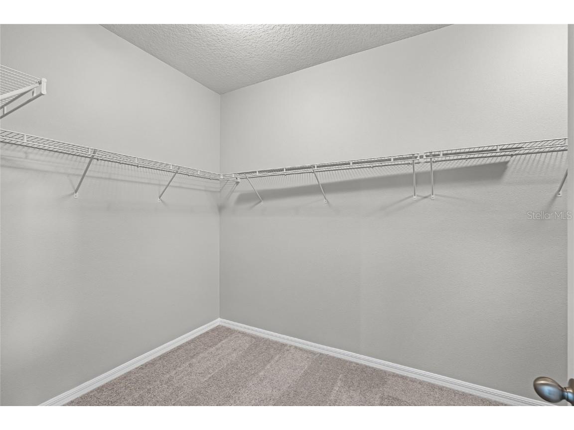 4307 Tigris Drive Apopka FL 32712 O6336404 image30