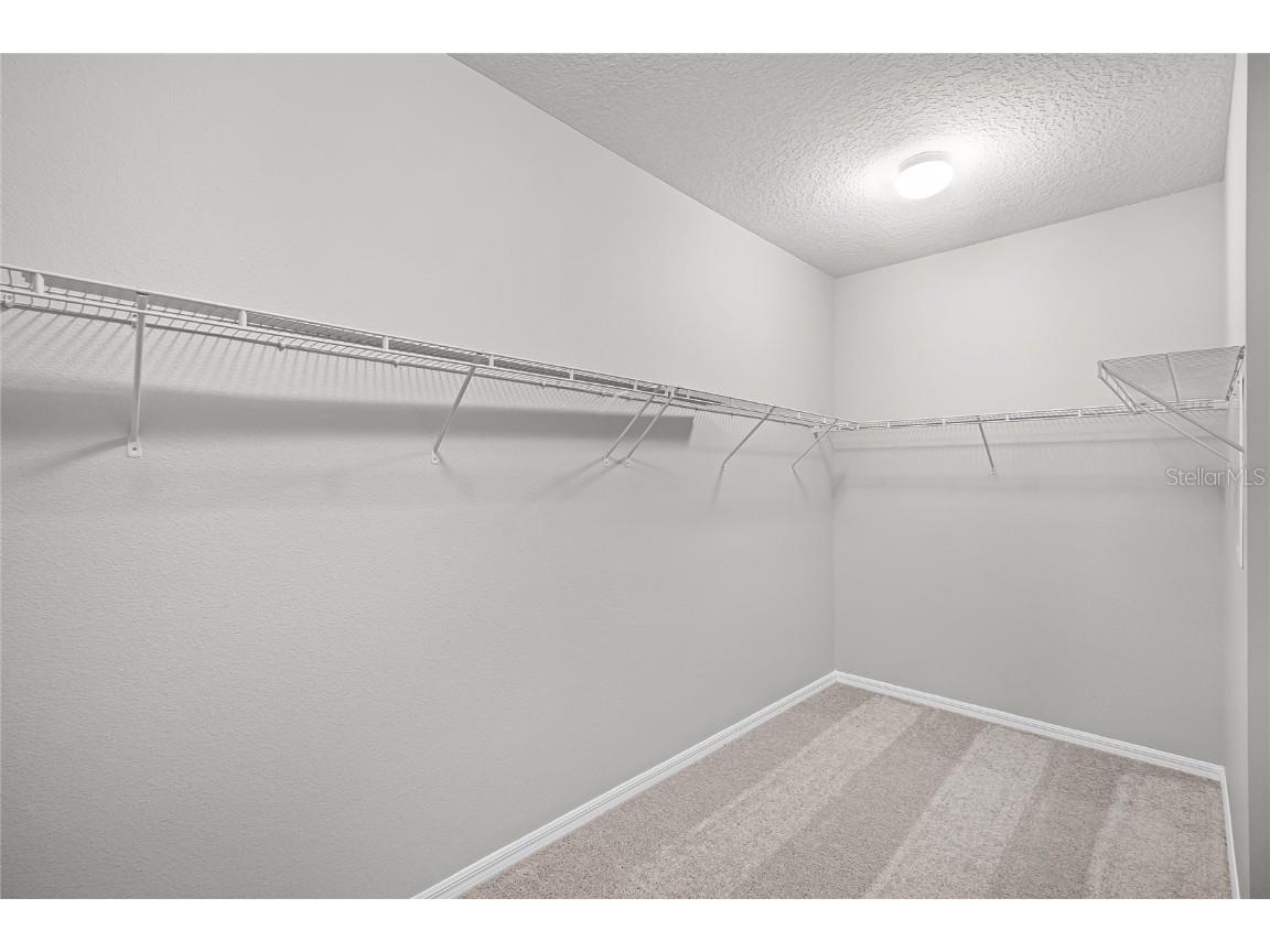 4307 Tigris Drive Apopka FL 32712 O6336404 image31