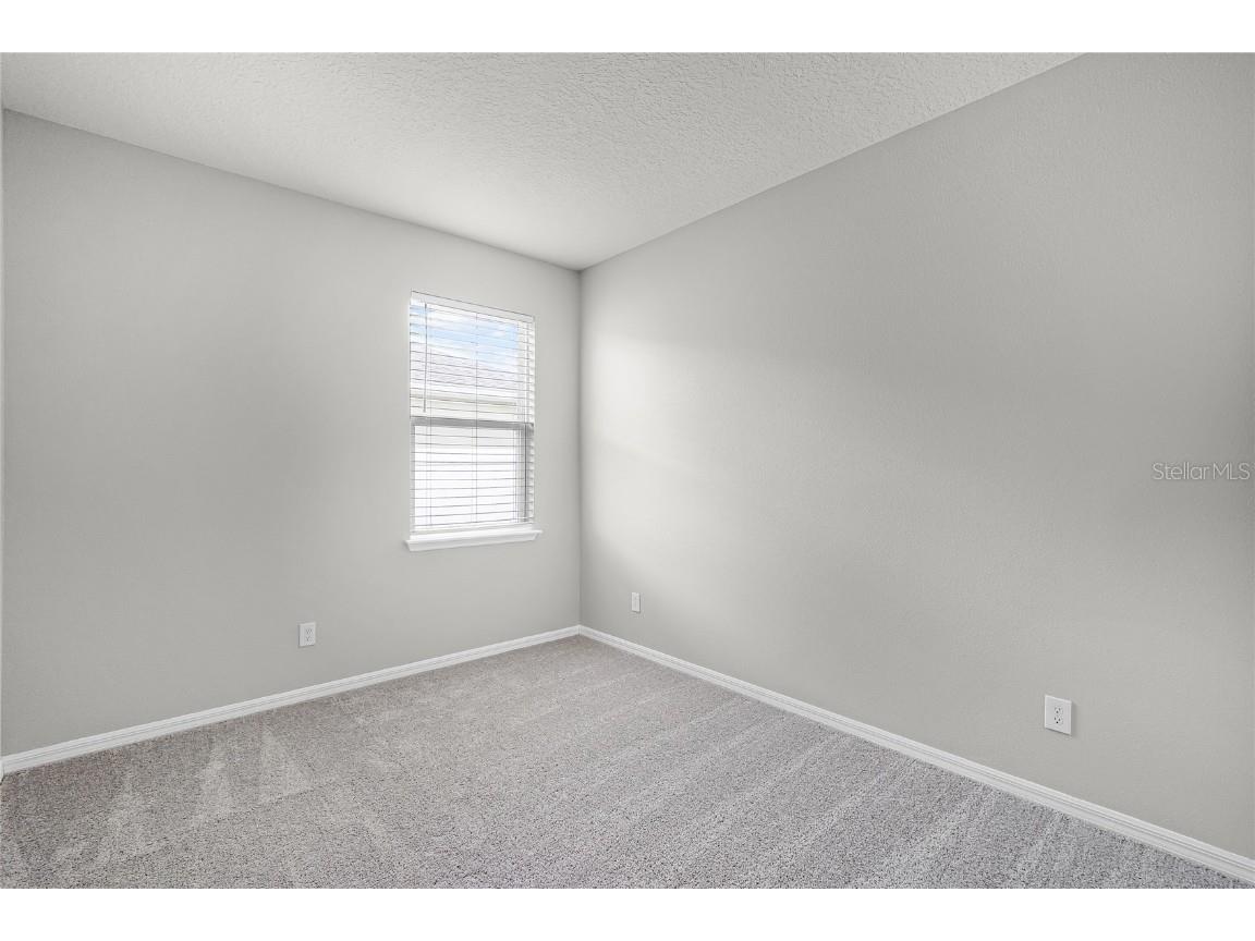 4307 Tigris Drive Apopka FL 32712 O6336404 image43