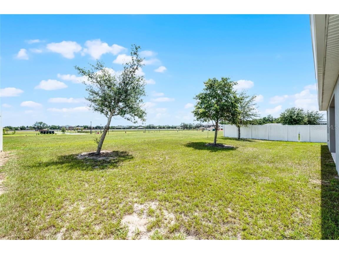 4307 Tigris Drive Apopka FL 32712 O6336404 image54