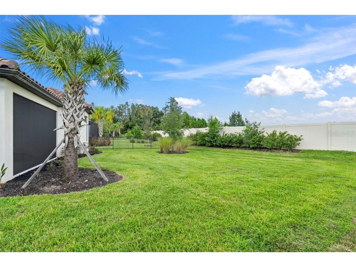 4308 Cairoli Court Wesley Chapel FL 33543 TB8434048 image51