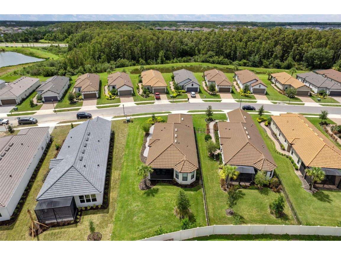 4308 Cairoli Court Wesley Chapel FL 33543 TB8434048 image53