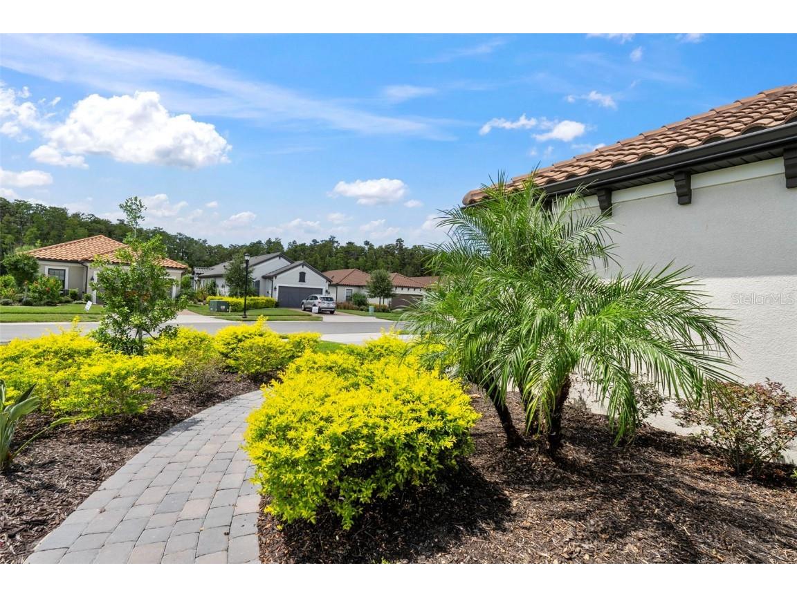 4308 Cairoli Court Wesley Chapel FL 33543 TB8434048 image57