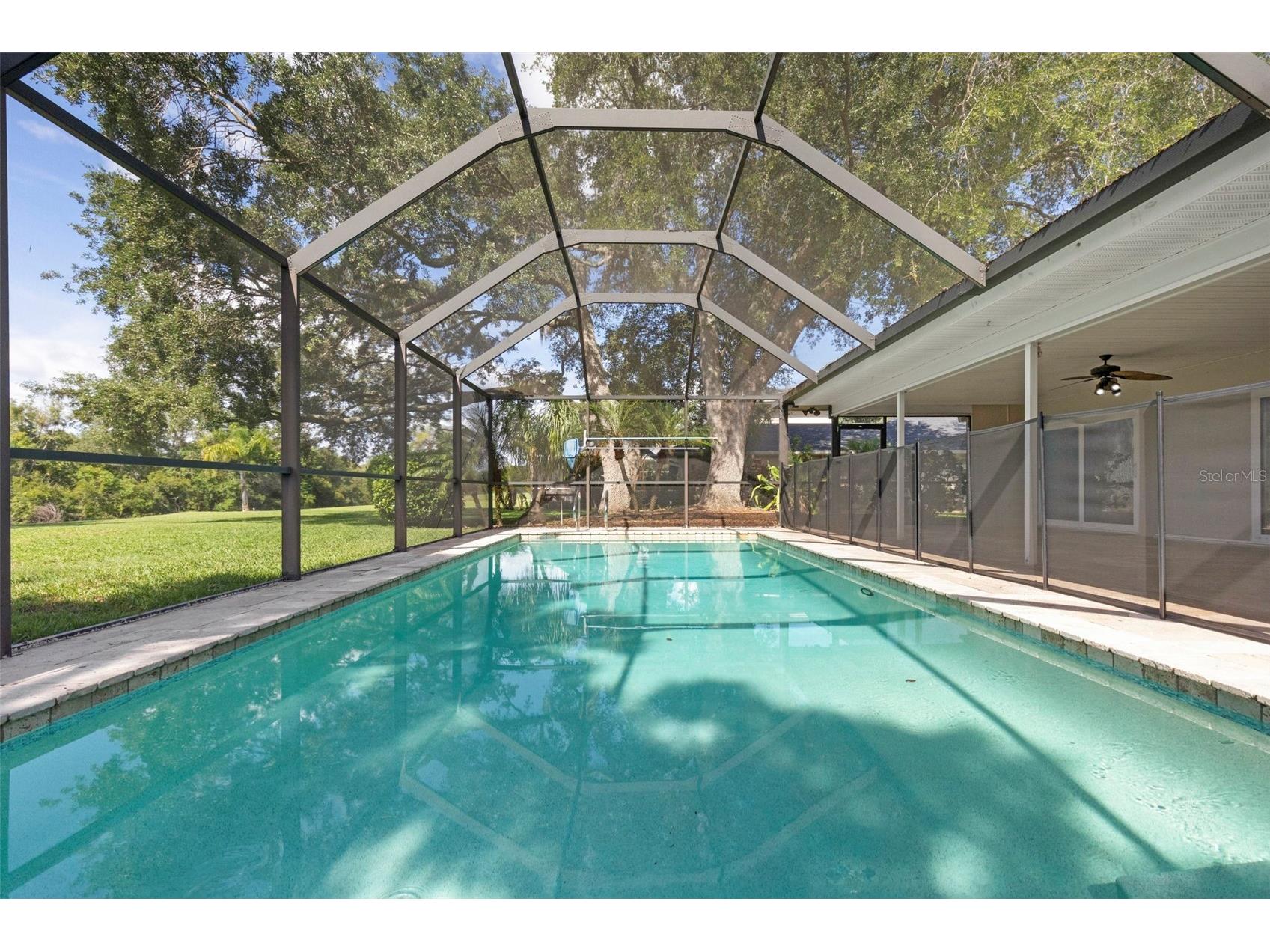 4308 Middle Lake Drive Tampa FL 33624 TB8514073 image58