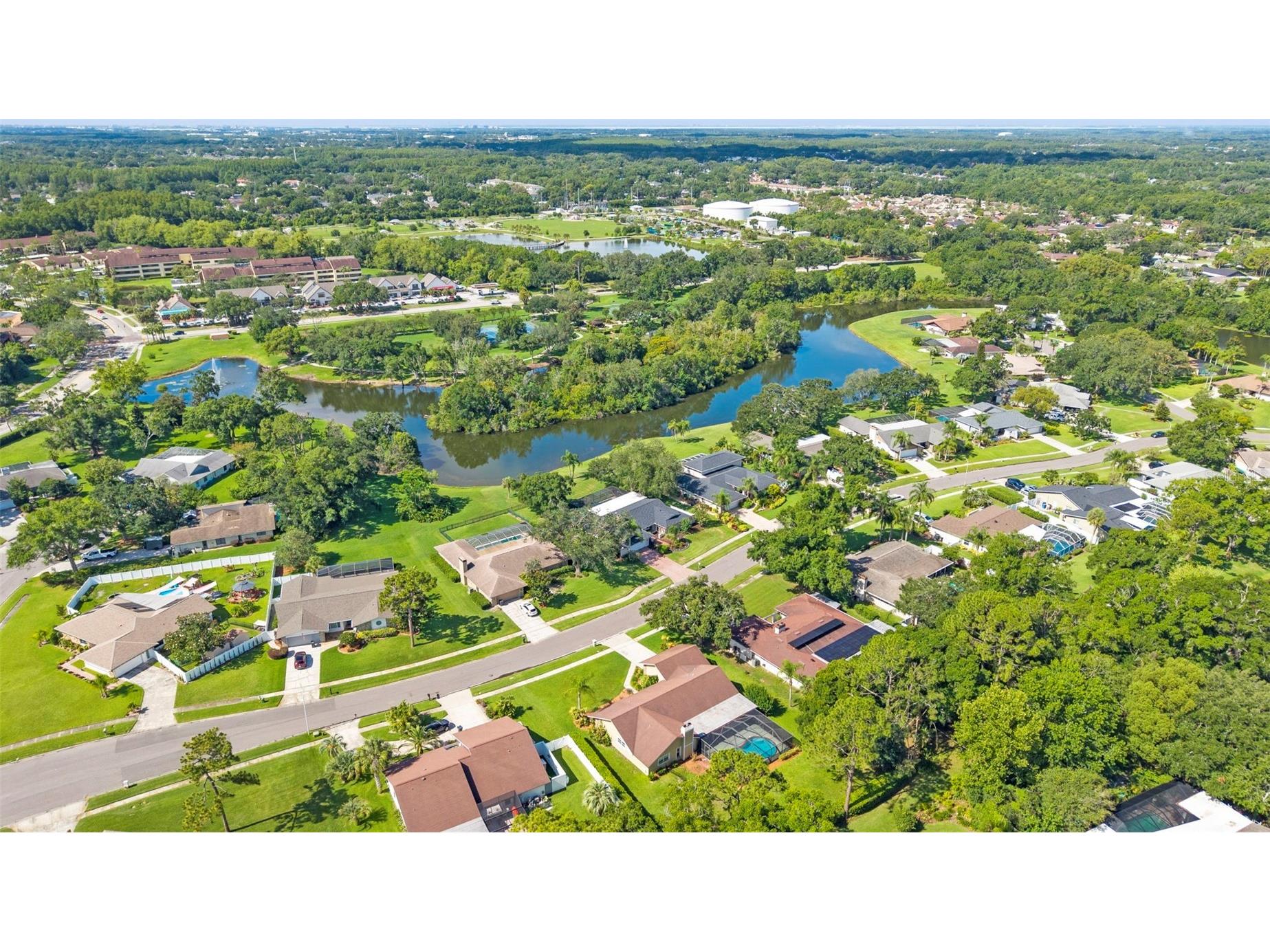 4308 Middle Lake Drive Tampa FL 33624 TB8514073 image63