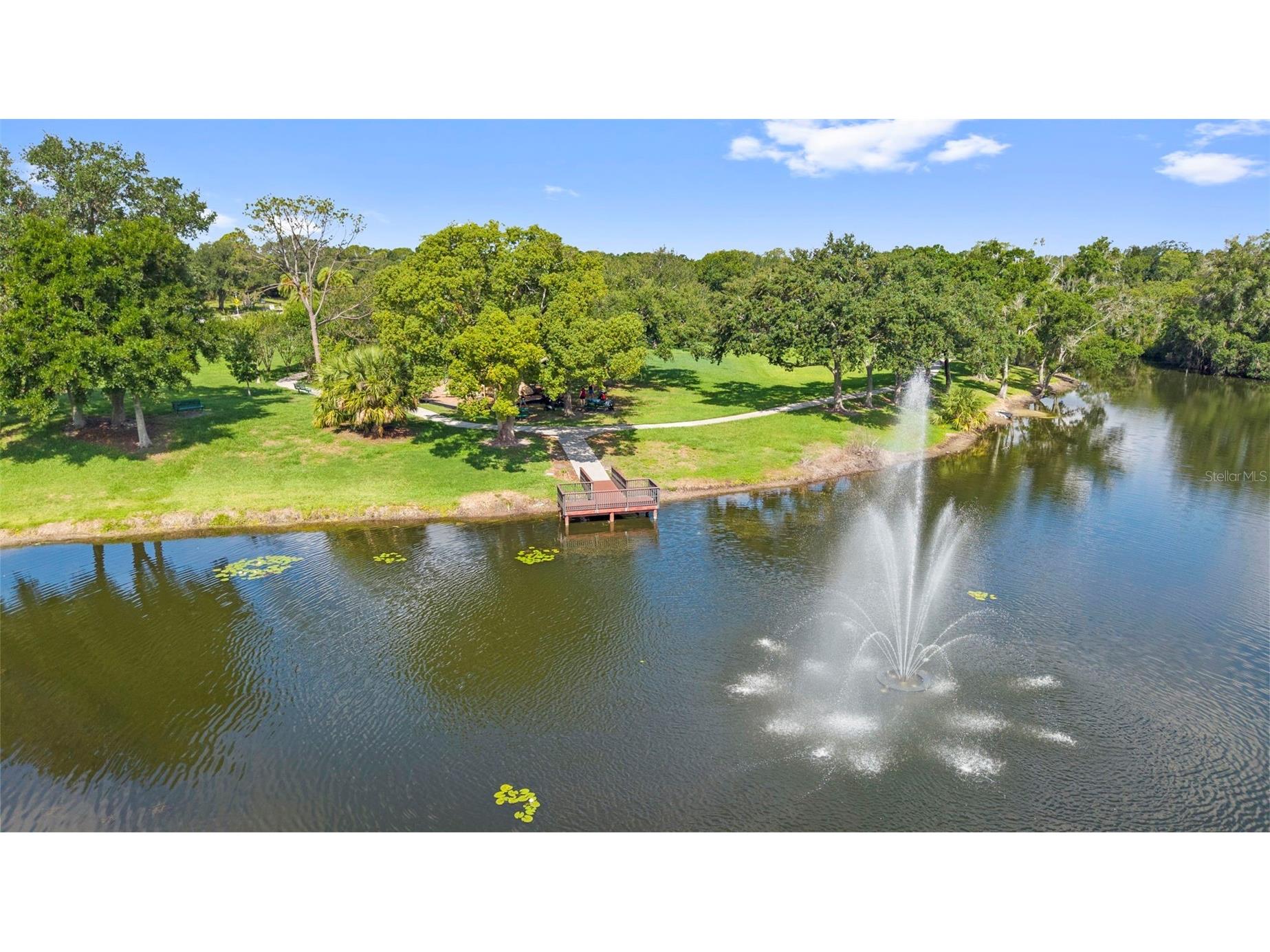 4308 Middle Lake Drive Tampa FL 33624 TB8514073 image68