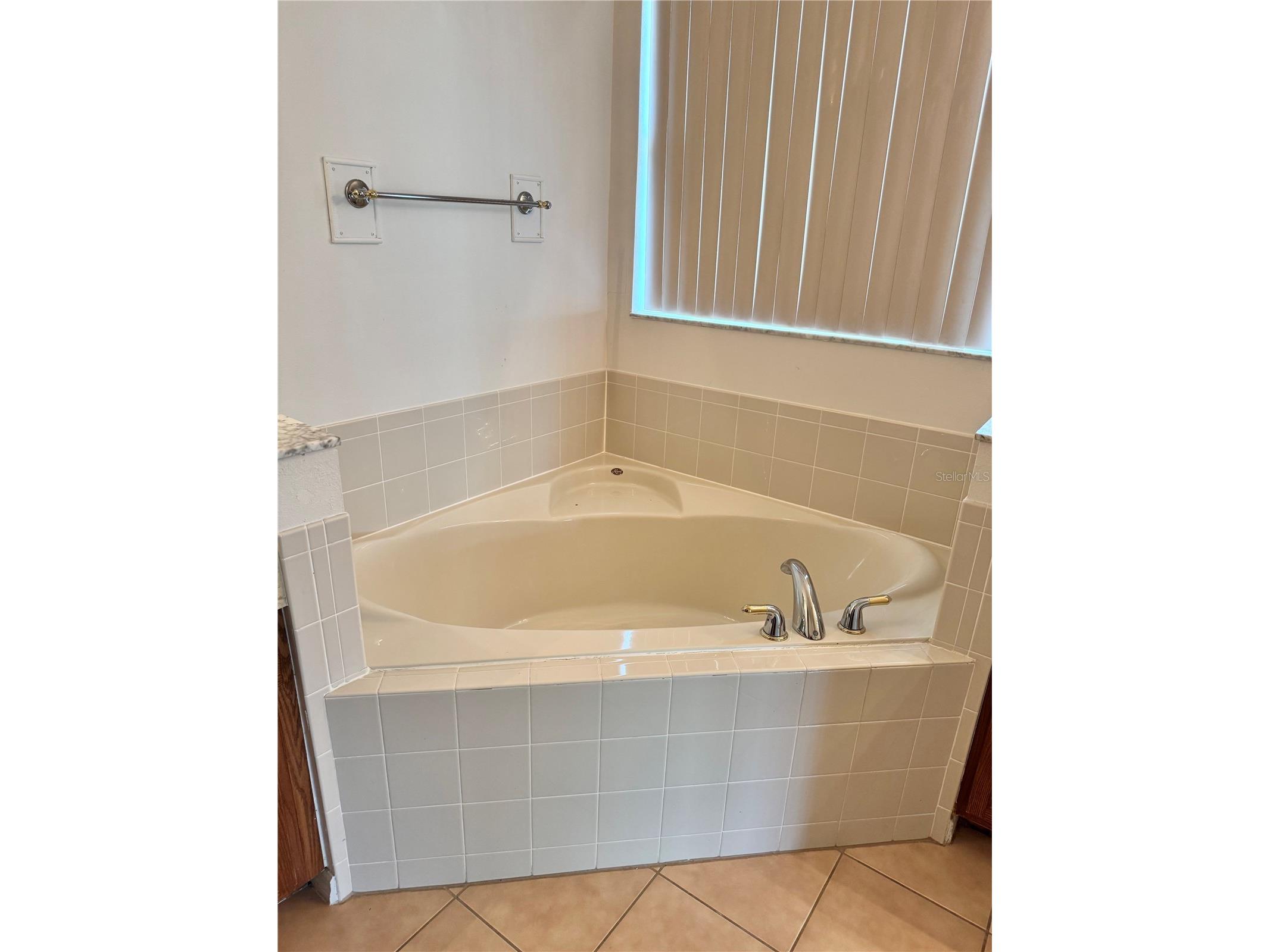 4308 Milano Place S Kissimmee FL 34746 S5148238 image16