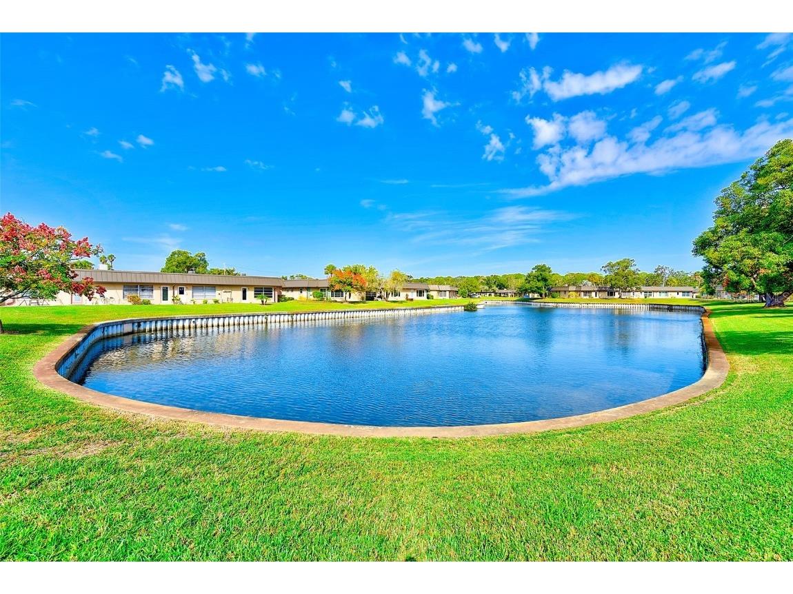 4308 Summersun Drive New Port Richey FL 34652 TB8439964 image28