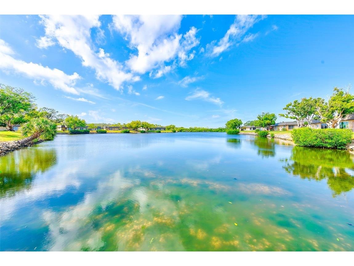 4308 Summersun Drive New Port Richey FL 34652 TB8439964 image42