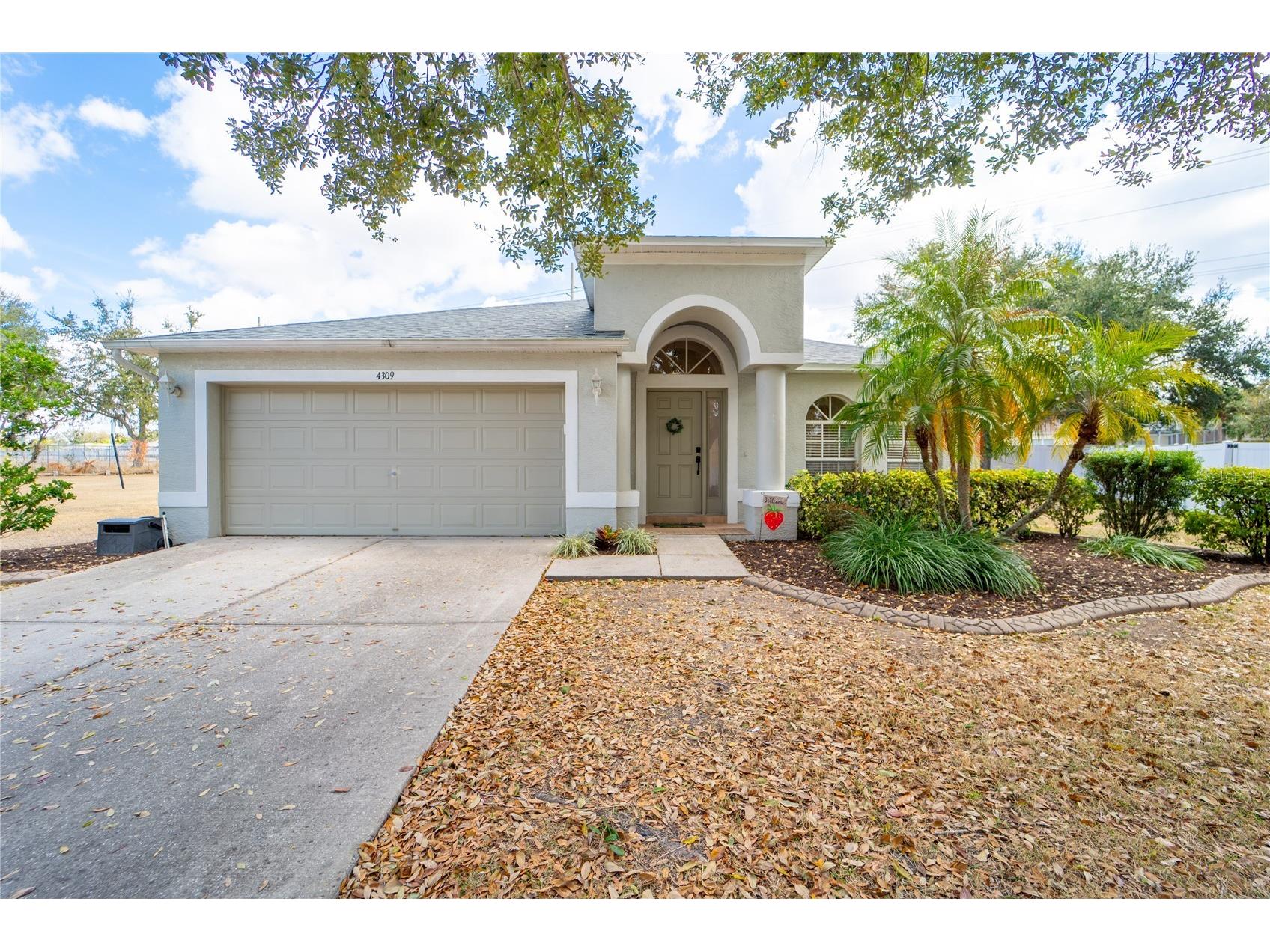 4309 Balington Drive Valrico FL 33596 TB8459152 image1