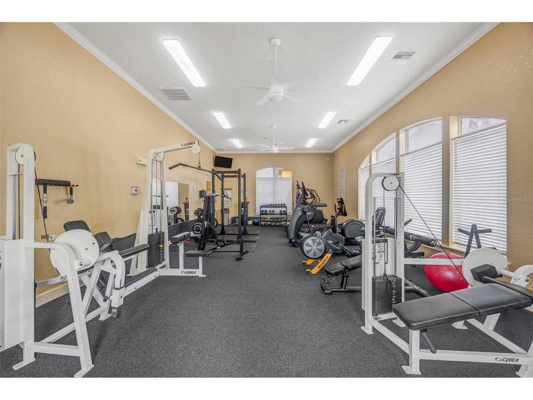 4309 Bayside Village Drive #101 Tampa FL 33615 - OLD TAMPA BAY TB8457511 image27