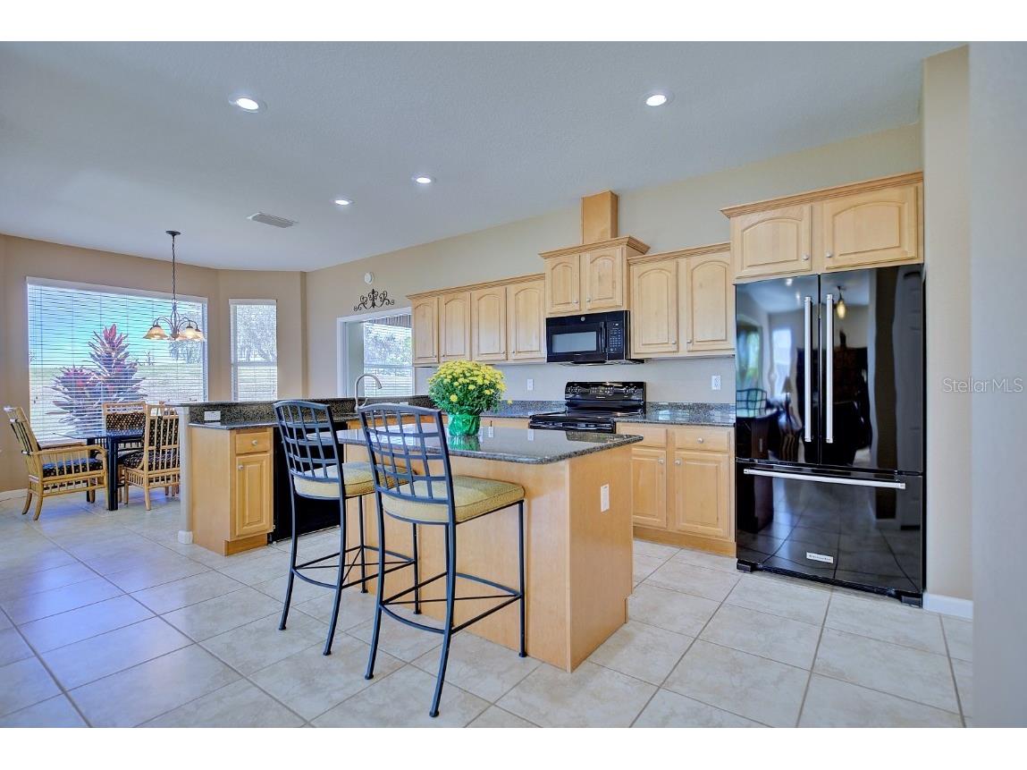 4309 N Course Lane Avon Park FL 33825 L4957404 image8