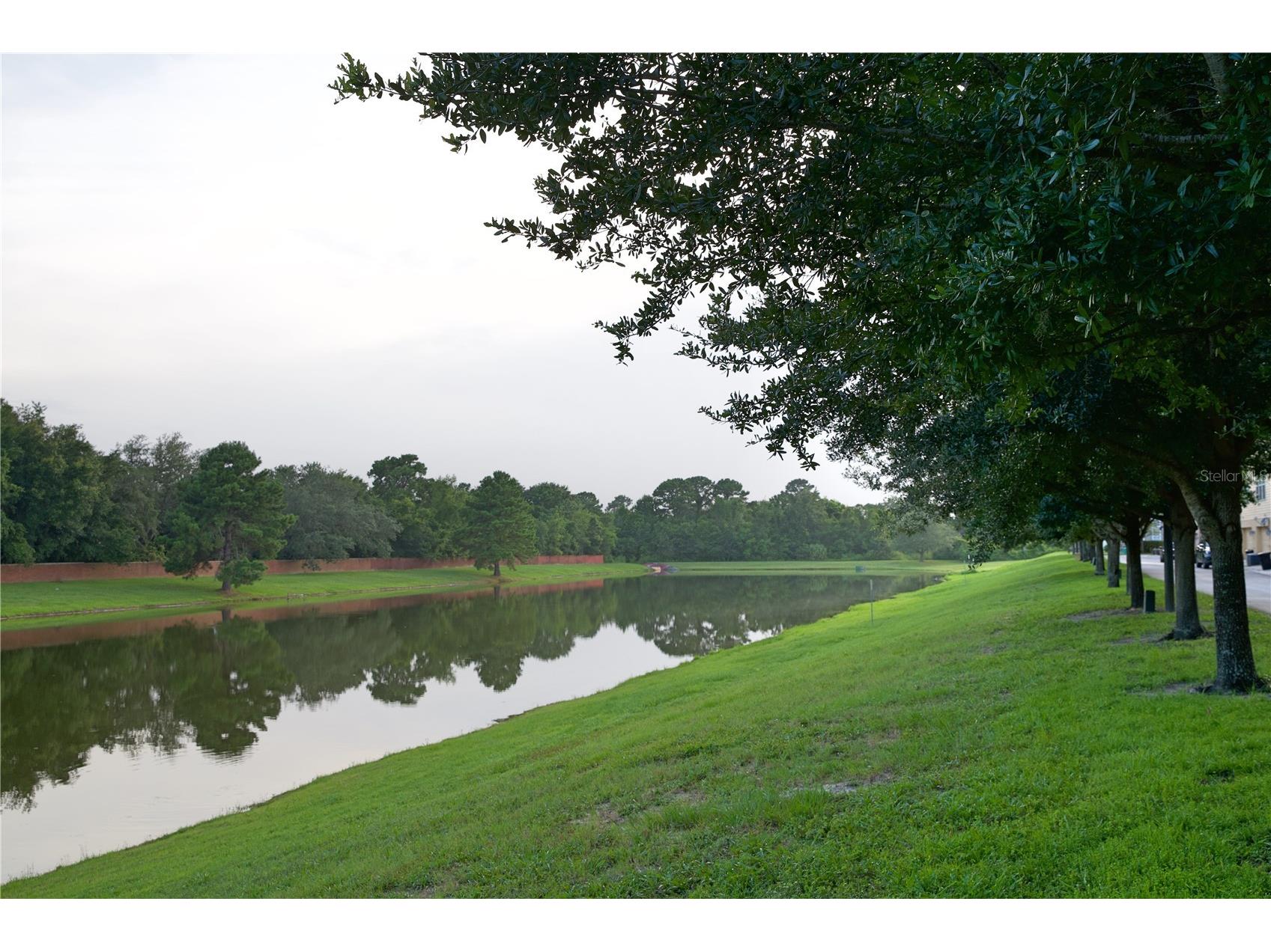 4309 Regal Town Lane Lake Mary FL 32746 O6412240 image52