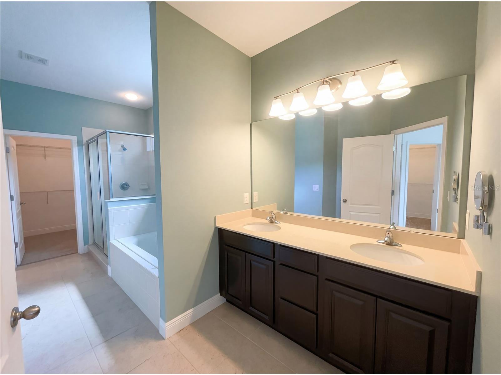 4309 Saltmarsh Sparrow Drive Windermere FL 34786 O6396295 image31