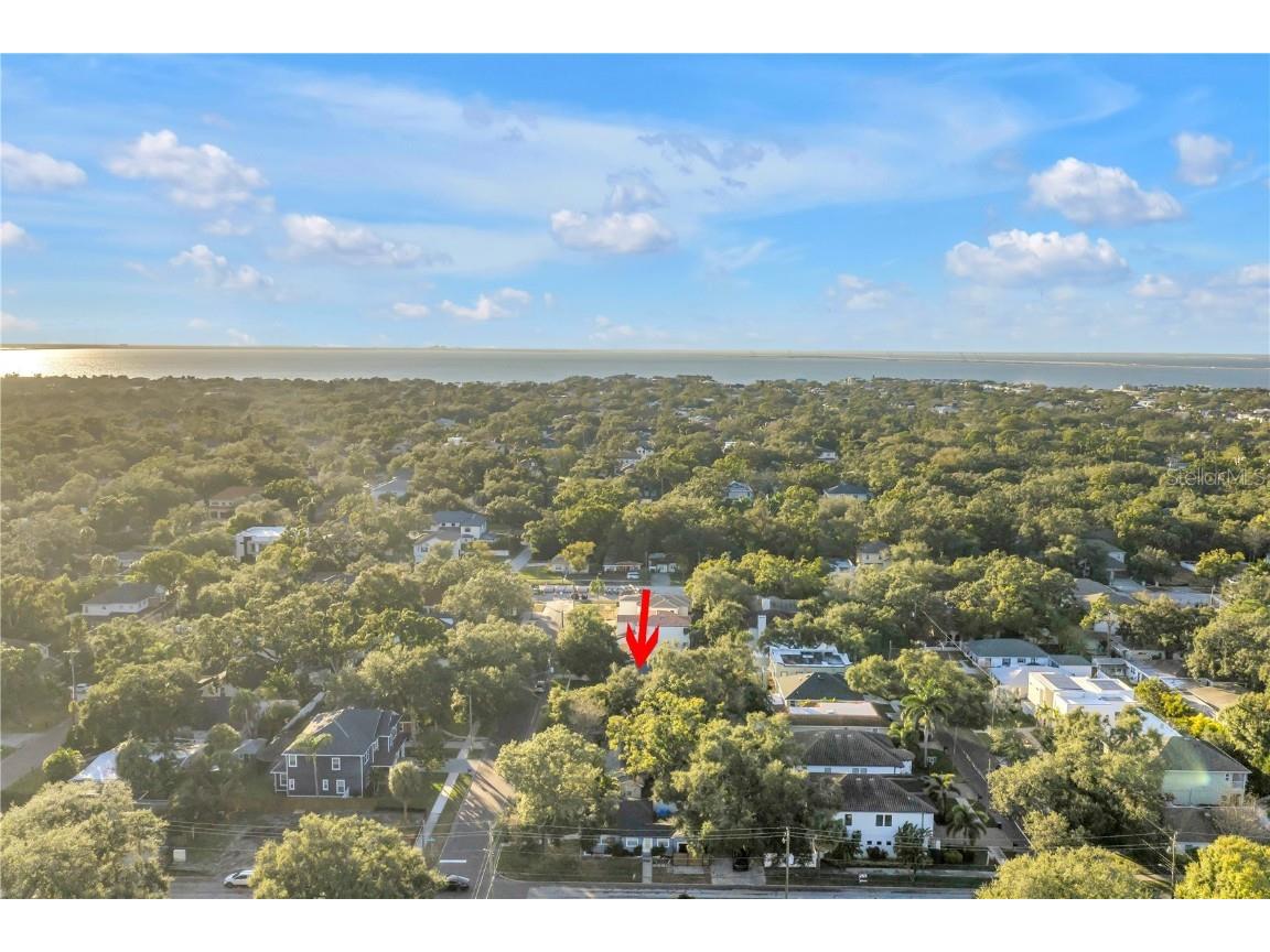 4309 W Obispo Street Tampa FL 33629 TB8454690 image3