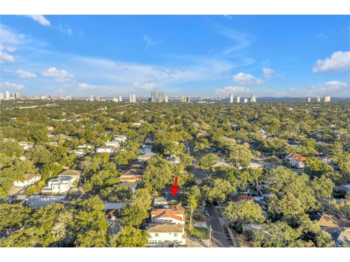 4309 W Obispo Street Tampa FL 33629 TB8454690 image4