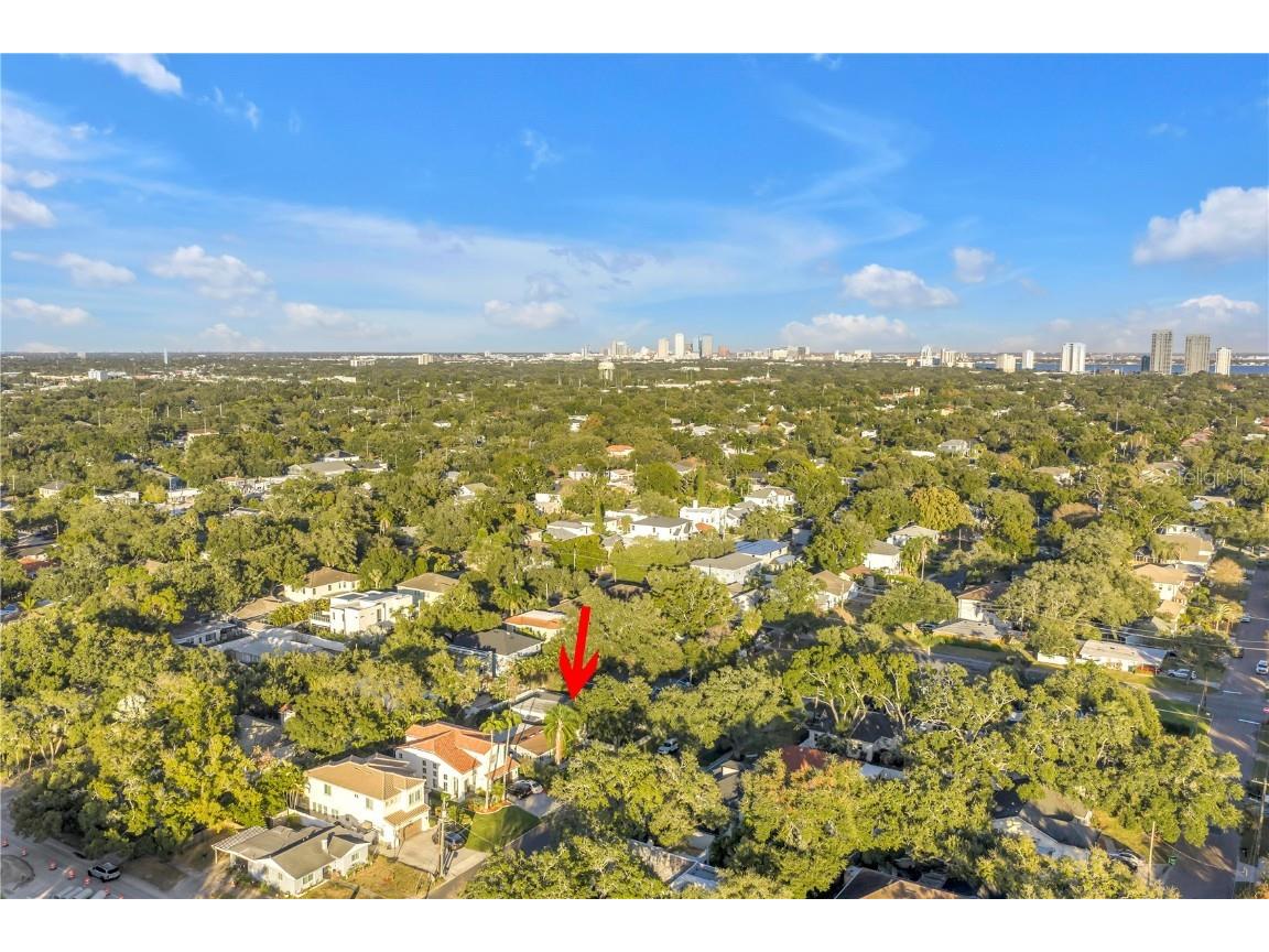 4309 W Obispo Street Tampa FL 33629 TB8454690 image5