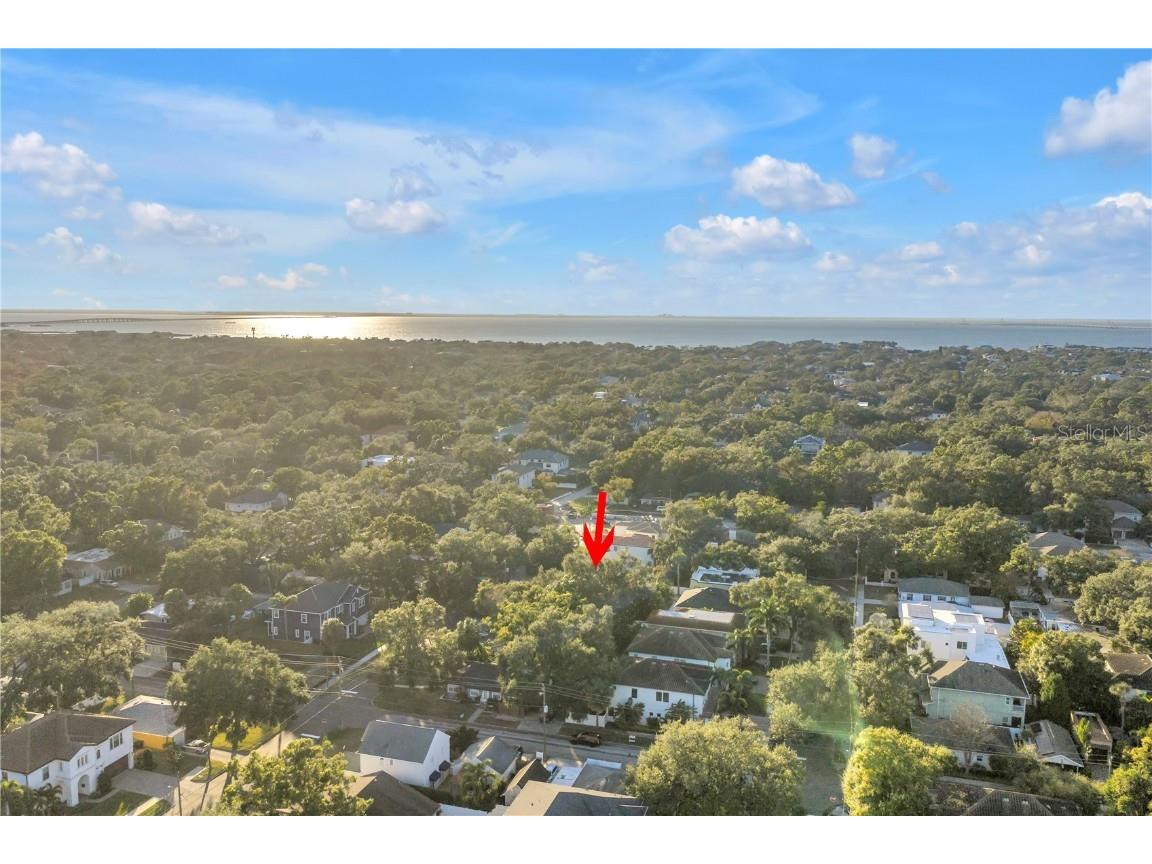 4309 W Obispo Street Tampa FL 33629 TB8454690 image51