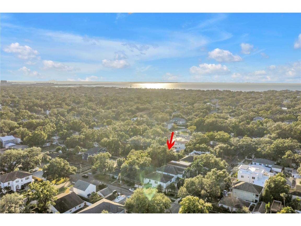 4309 W Obispo Street Tampa FL 33629 TB8454690 image52