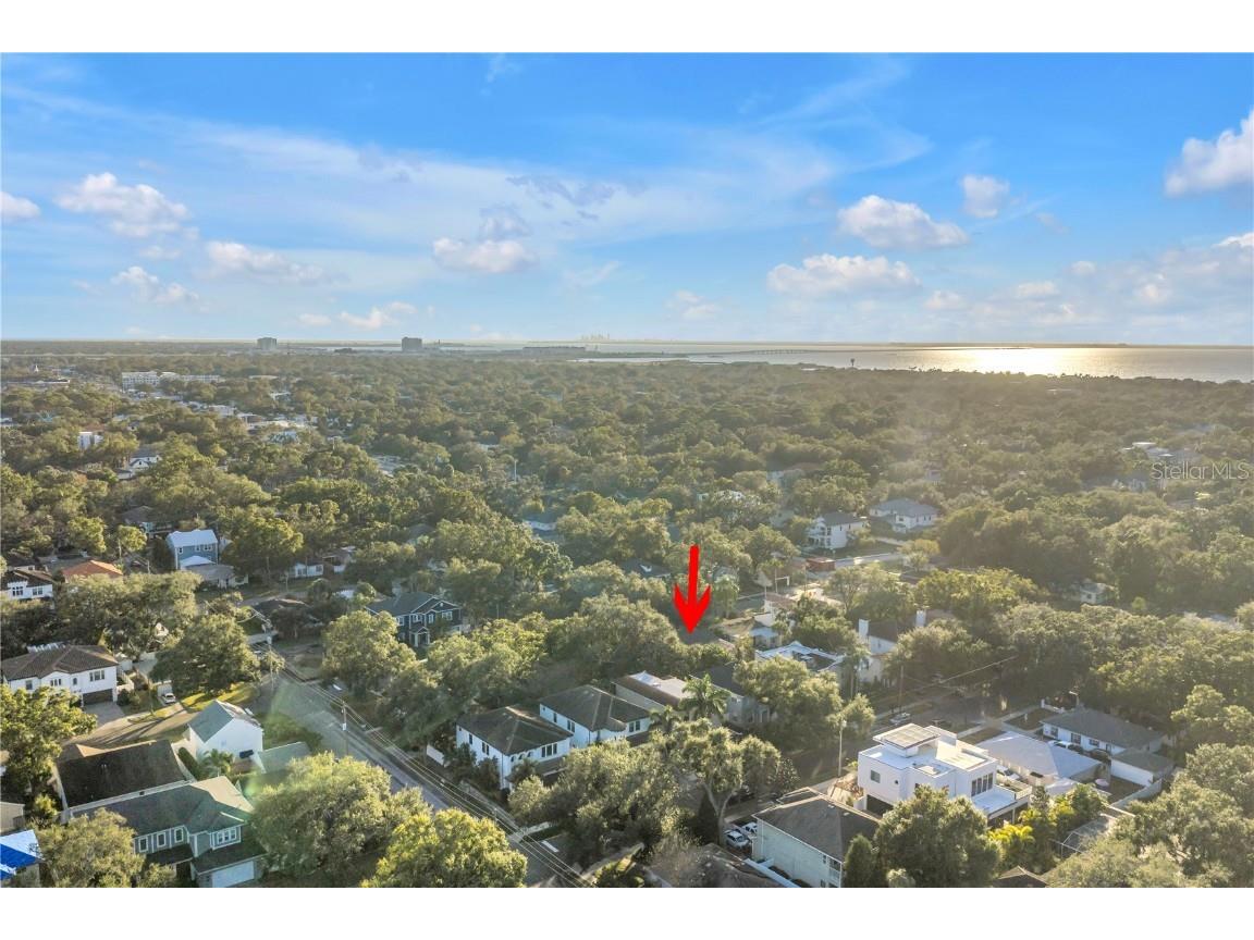 4309 W Obispo Street Tampa FL 33629 TB8454690 image53