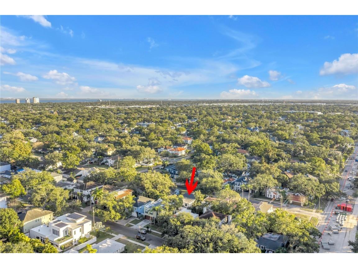 4309 W Obispo Street Tampa FL 33629 TB8454690 image55