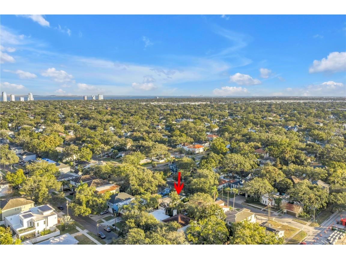 4309 W Obispo Street Tampa FL 33629 TB8454690 image56