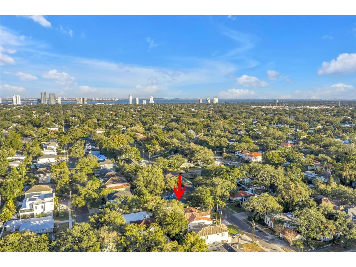 4309 W Obispo Street Tampa FL 33629 TB8454690 image57