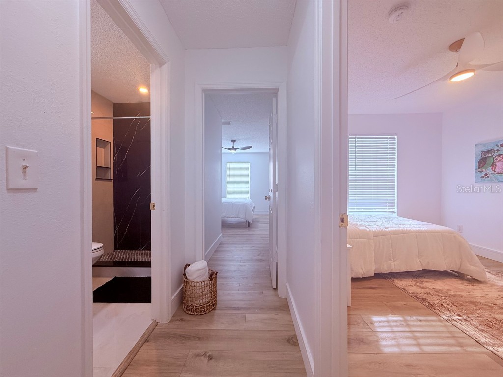 4309 Winding River Way Land O Lakes FL 34639 TB8455330 image17