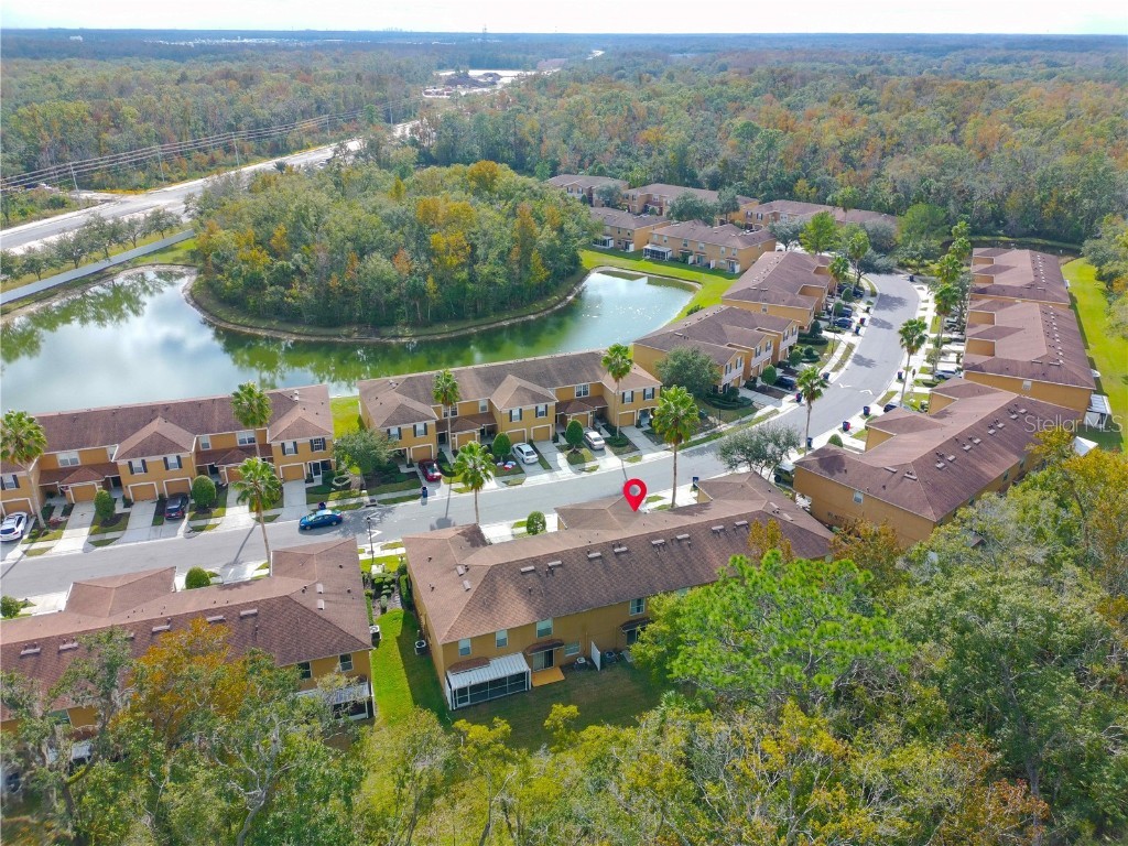 4309 Winding River Way Land O Lakes FL 34639 TB8455330 image24