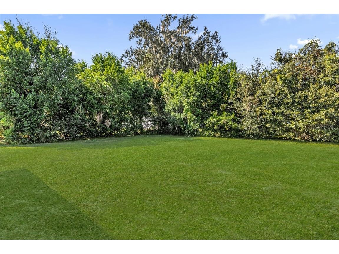 431 Belle Ayre Drive Mount Dora FL 32757 S5137739 image24