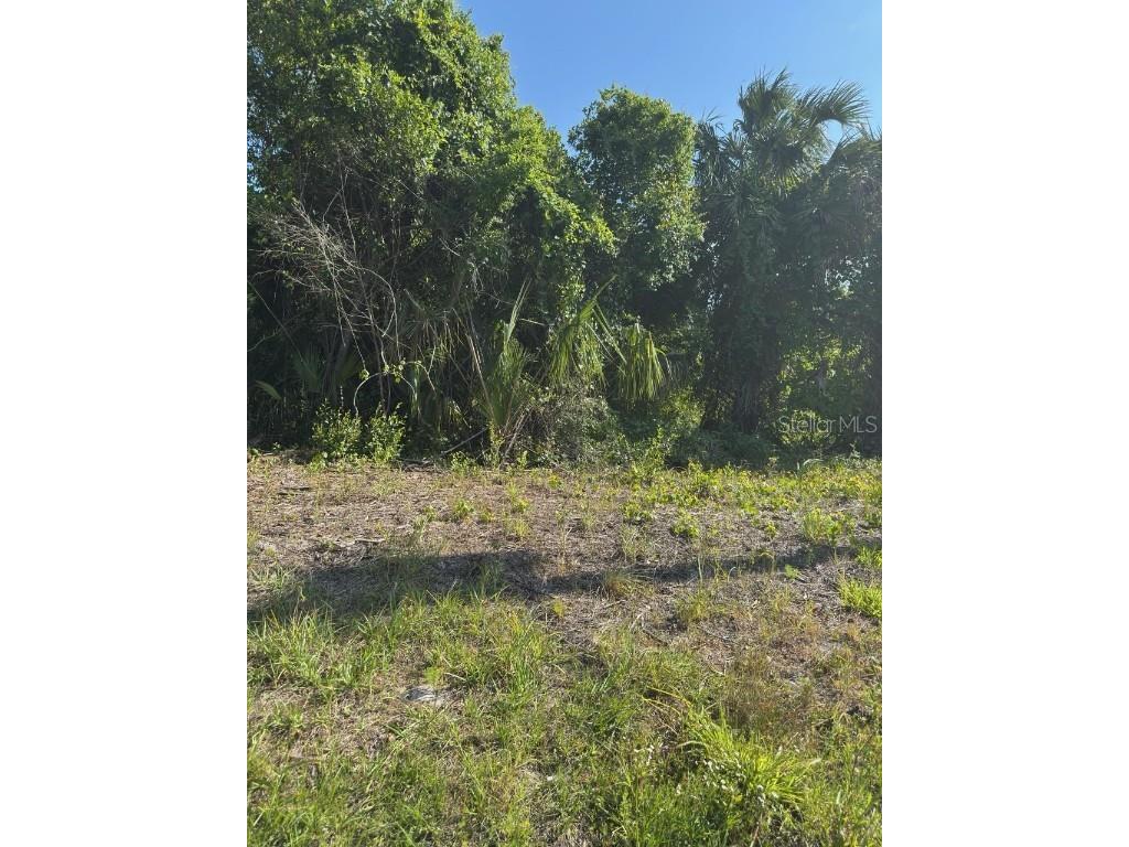 431 Birch Boulevard Georgetown FL 32139 O6304236 image1