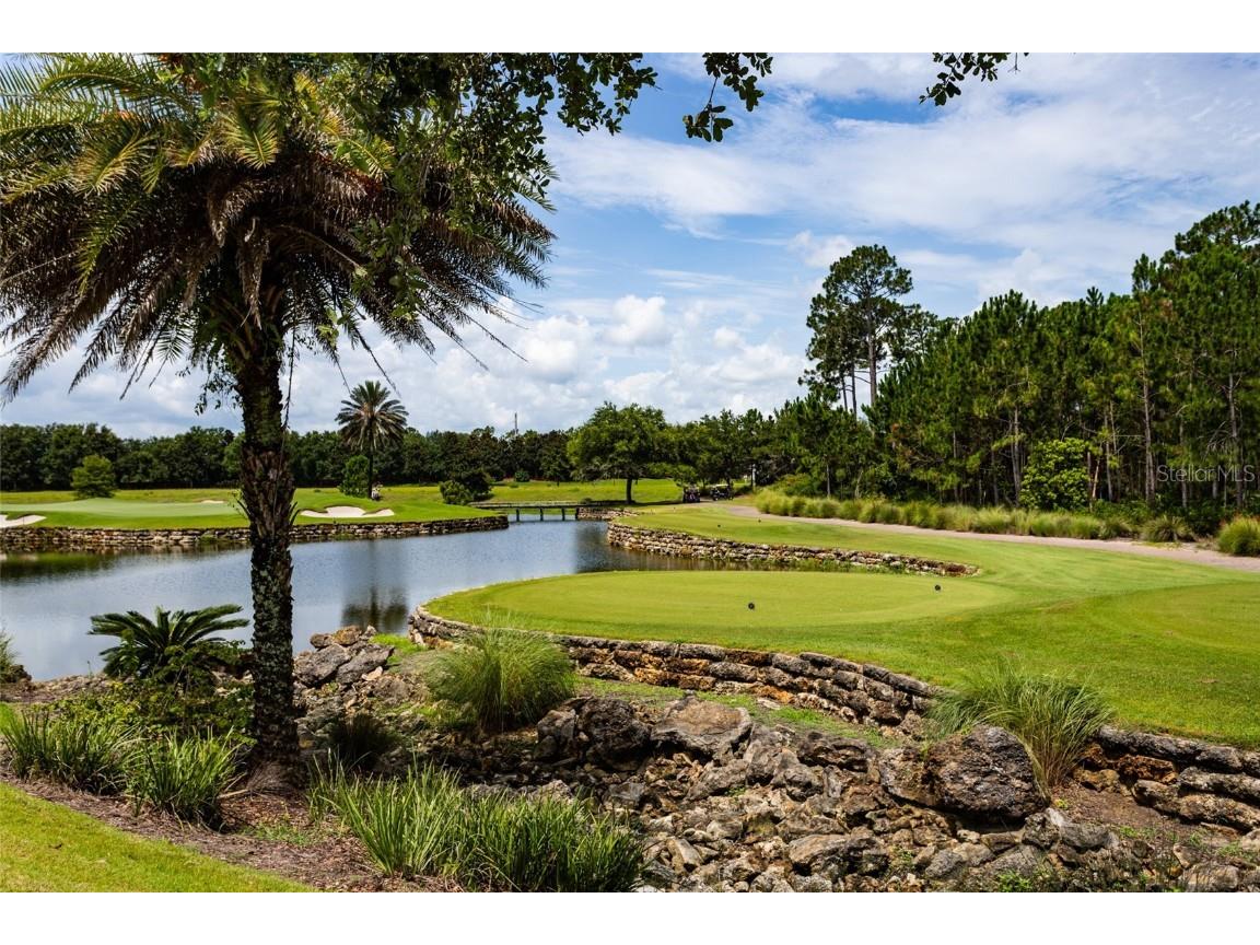 431 Bourganville Drive Palm Coast FL 32137 FC309667 image39