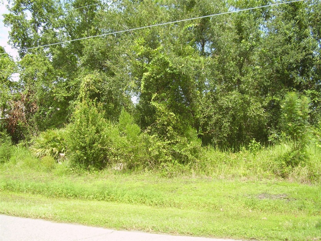 431 Dove Drive Kissimmee FL 34759 R4909990 image2