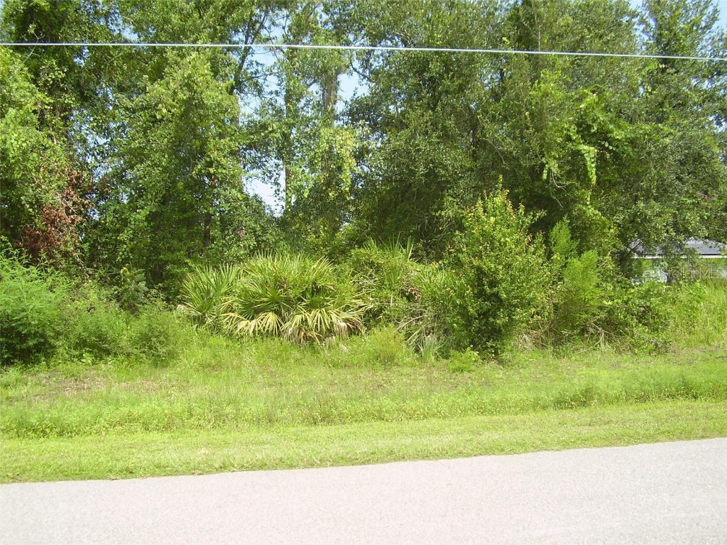 431 Dove Drive Kissimmee FL 34759 R4909990 image4