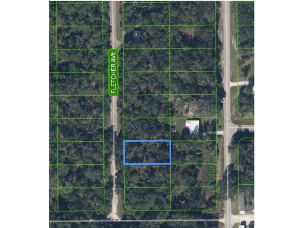 431 Fletcher Avenue Lake Placid FL 33852 P4935957 image1