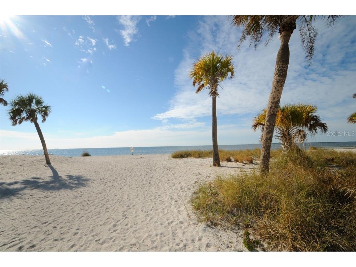 431 Grand Boulevard Tarpon Springs FL 34689 TB8448167 image21