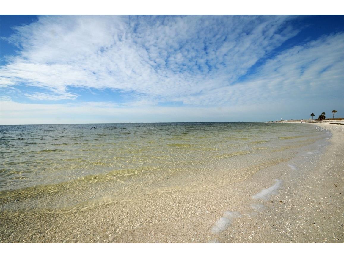 431 Grand Boulevard Tarpon Springs FL 34689 TB8448167 image24