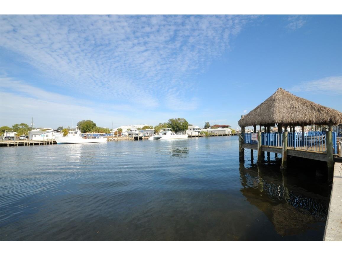 431 Grand Boulevard Tarpon Springs FL 34689 TB8448167 image33
